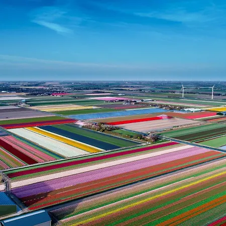 Apartamento Comfortable Near The Coast