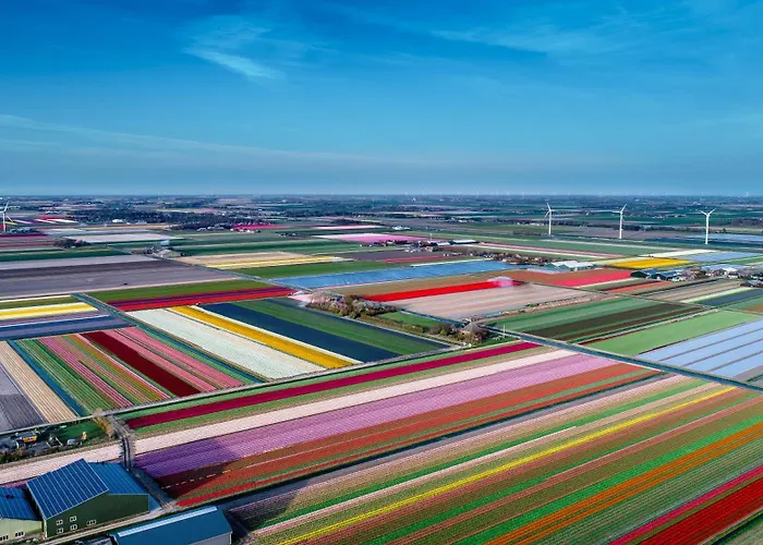 Appartement Comfortable Near The Coast